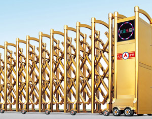 ���P���s�T�y����̖